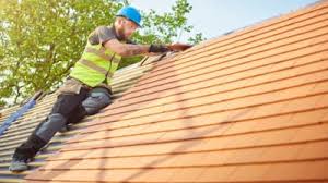 Best Asphalt Shingles Roofing  in Sidney, IL